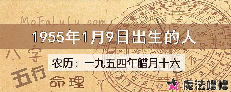 1955年1月9日出生的八字怎么样？