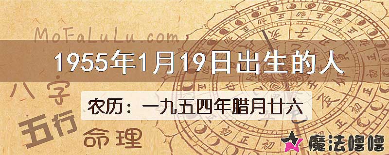 1955年1月19日出生的八字怎么样？