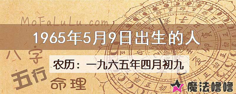 1965年5月9日出生的八字怎么样？