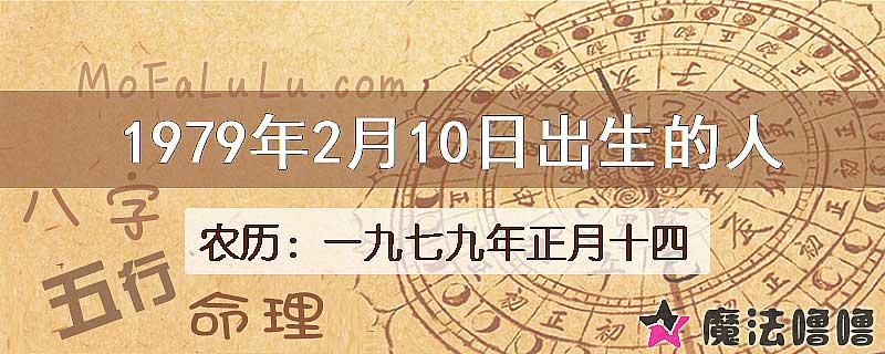 1979年2月10日出生的八字怎么样？