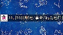 2025年11月11日财运/事业/桃花运