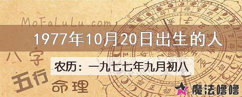 1977年10月20日出生的八字怎么样？