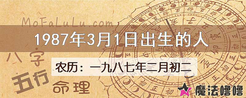 1987年3月1日出生的八字怎么样？