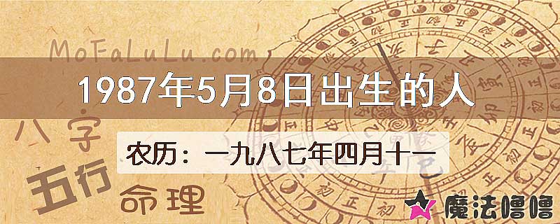 1987年5月8日出生的八字怎么样？