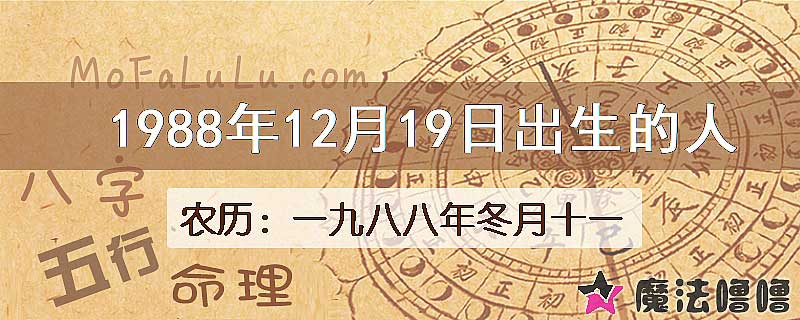 1988年12月19日出生的八字怎么样？