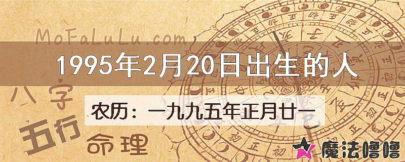 1995年2月20日出生的八字怎么样？
