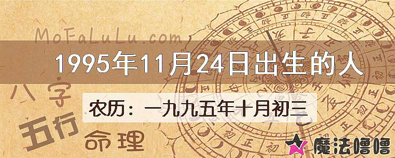 1995年11月24日出生的八字怎么样？