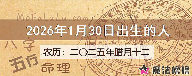 2026年1月30日出生的八字怎么样？