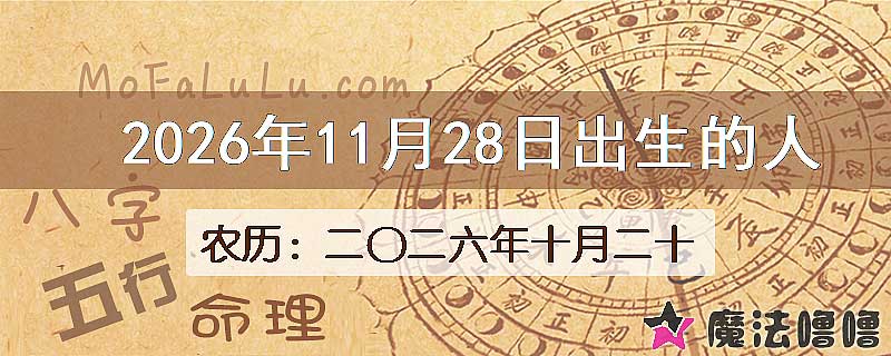 2026年11月28日出生的八字怎么样？