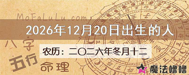 2026年12月20日出生的八字怎么样？