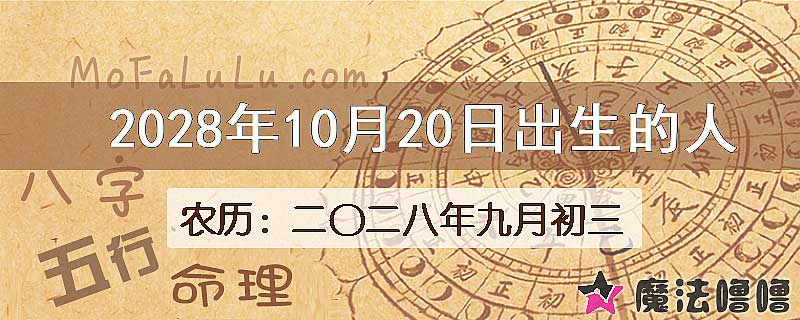 2028年10月20日出生的八字怎么样？