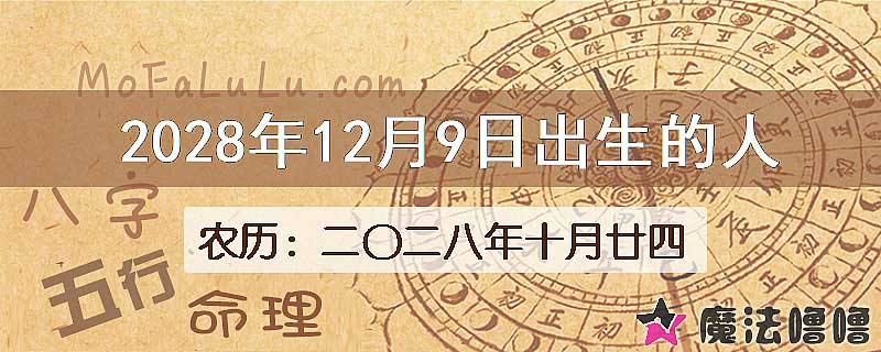 2028年12月9日出生的八字怎么样？