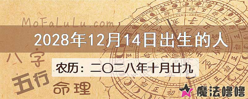 2028年12月14日出生的八字怎么样？