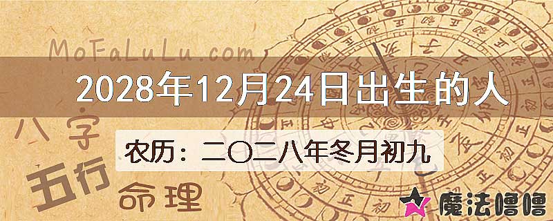 2028年12月24日出生的八字怎么样？
