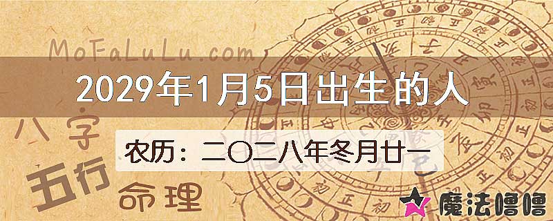 2029年1月5日出生的八字怎么样？
