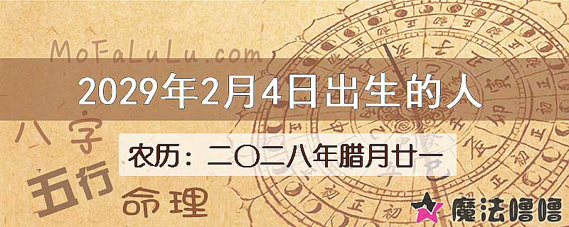 2029年2月4日出生的八字怎么样？