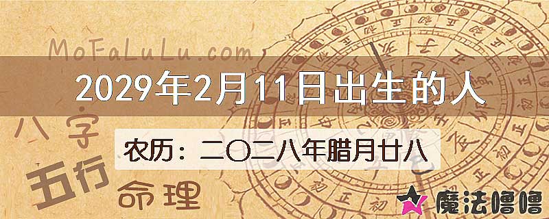 2029年2月11日出生的八字怎么样？