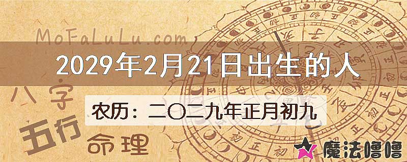2029年2月21日出生的八字怎么样？