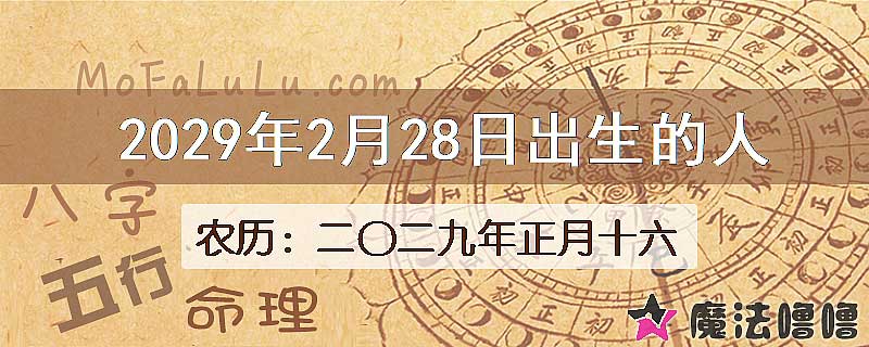 2029年2月28日出生的八字怎么样？