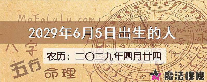 2029年6月5日出生的八字怎么样？