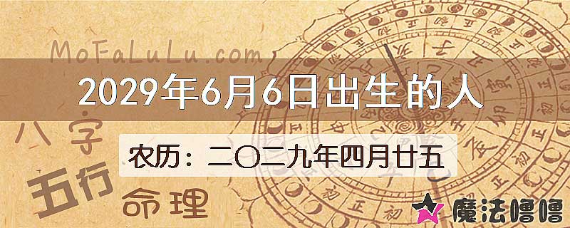 2029年6月6日出生的八字怎么样？