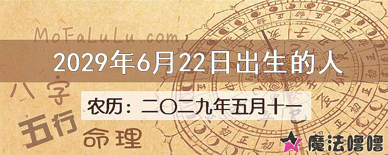 2029年6月22日出生的八字怎么样？