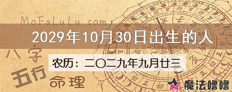 2029年10月30日出生的八字怎么样？