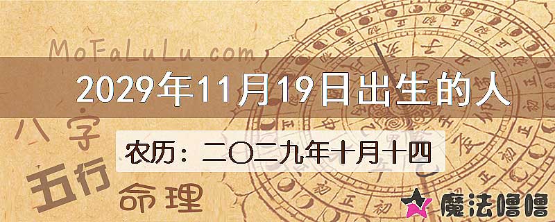 2029年11月19日出生的八字怎么样？