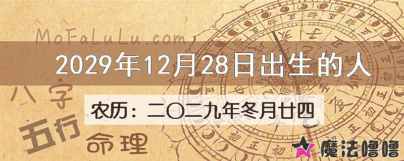 2029年12月28日出生的八字怎么样？
