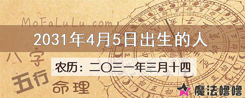 2031年4月5日出生的八字怎么样？