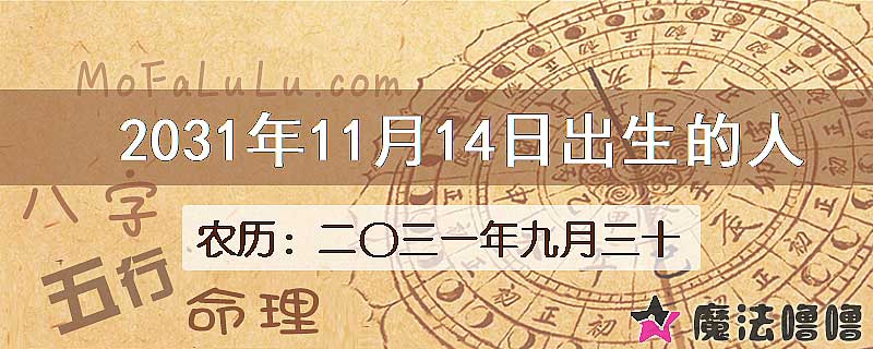 2031年11月14日出生的八字怎么样？