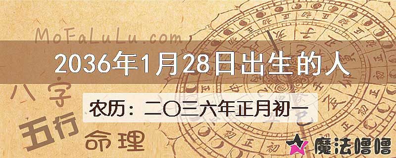 2036年1月28日出生的八字怎么样？