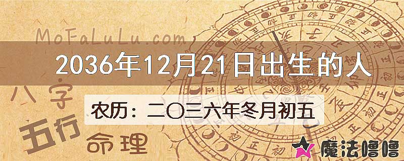 2036年12月21日出生的八字怎么样？