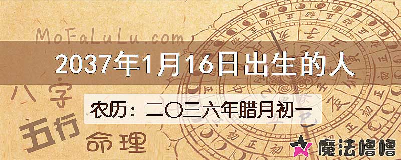 2037年1月16日出生的八字怎么样？