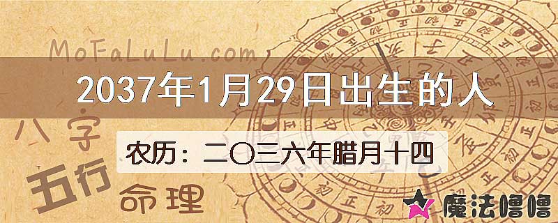 2037年1月29日出生的八字怎么样？