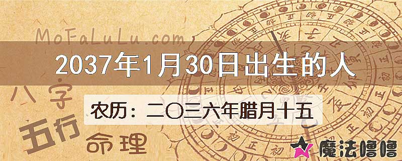 2037年1月30日出生的八字怎么样？