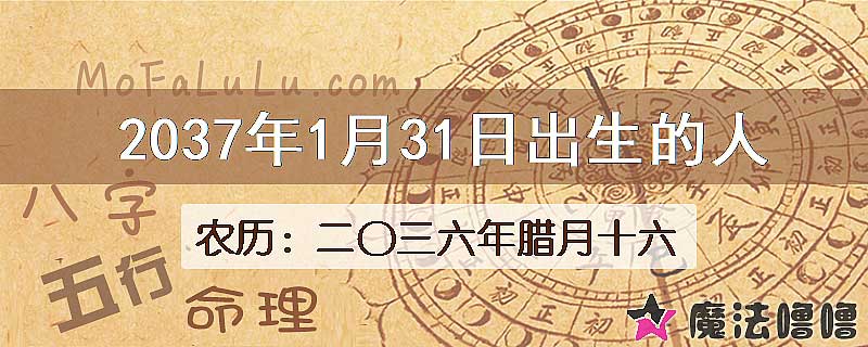 2037年1月31日出生的八字怎么样？