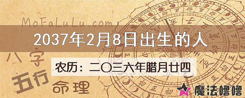 2037年2月8日出生的八字怎么样？