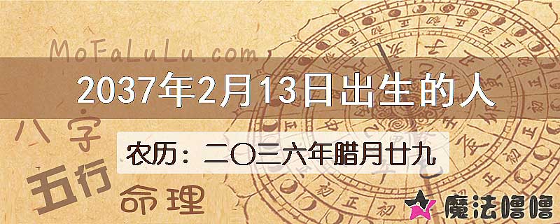 2037年2月13日出生的八字怎么样？