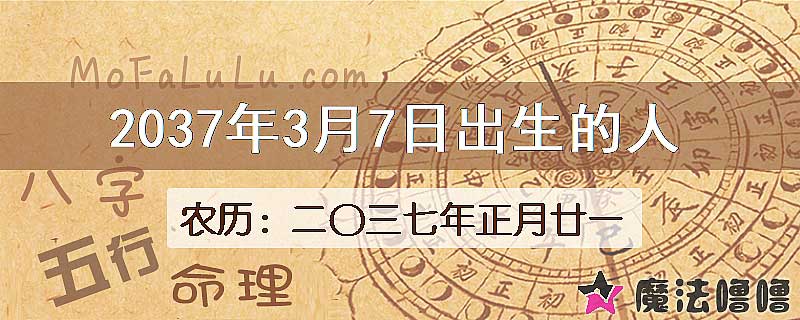 2037年3月7日出生的八字怎么样？