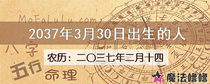 2037年3月30日出生的八字怎么样？