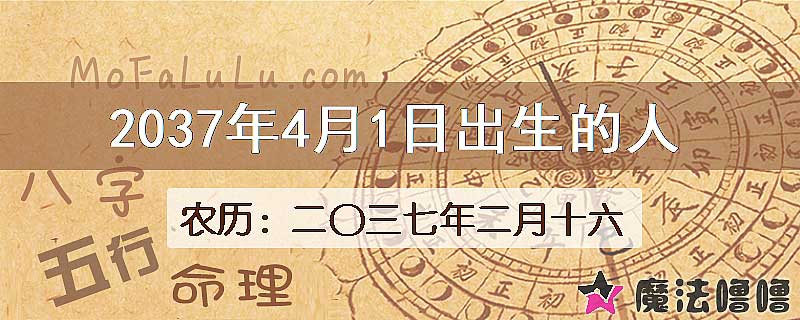 2037年4月1日出生的八字怎么样？