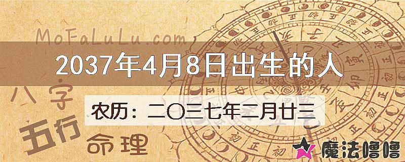 2037年4月8日出生的八字怎么样？