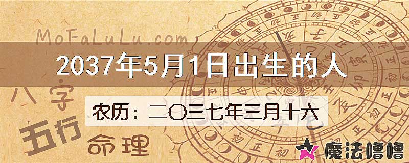 2037年5月1日出生的八字怎么样？