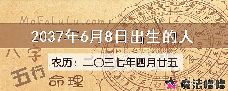 2037年6月8日出生的八字怎么样？
