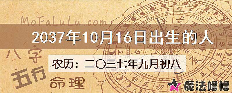 2037年10月16日出生的八字怎么样？
