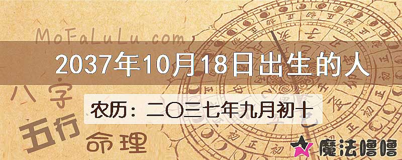 2037年10月18日出生的八字怎么样？