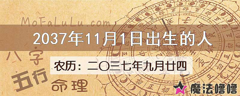 2037年11月1日出生的八字怎么样？