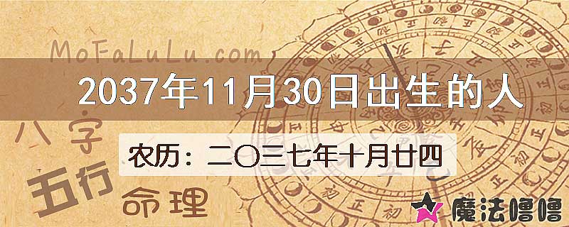 2037年11月30日出生的八字怎么样？
