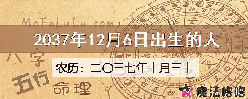 2037年12月6日出生的八字怎么样？